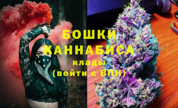 хмурый Вяземский